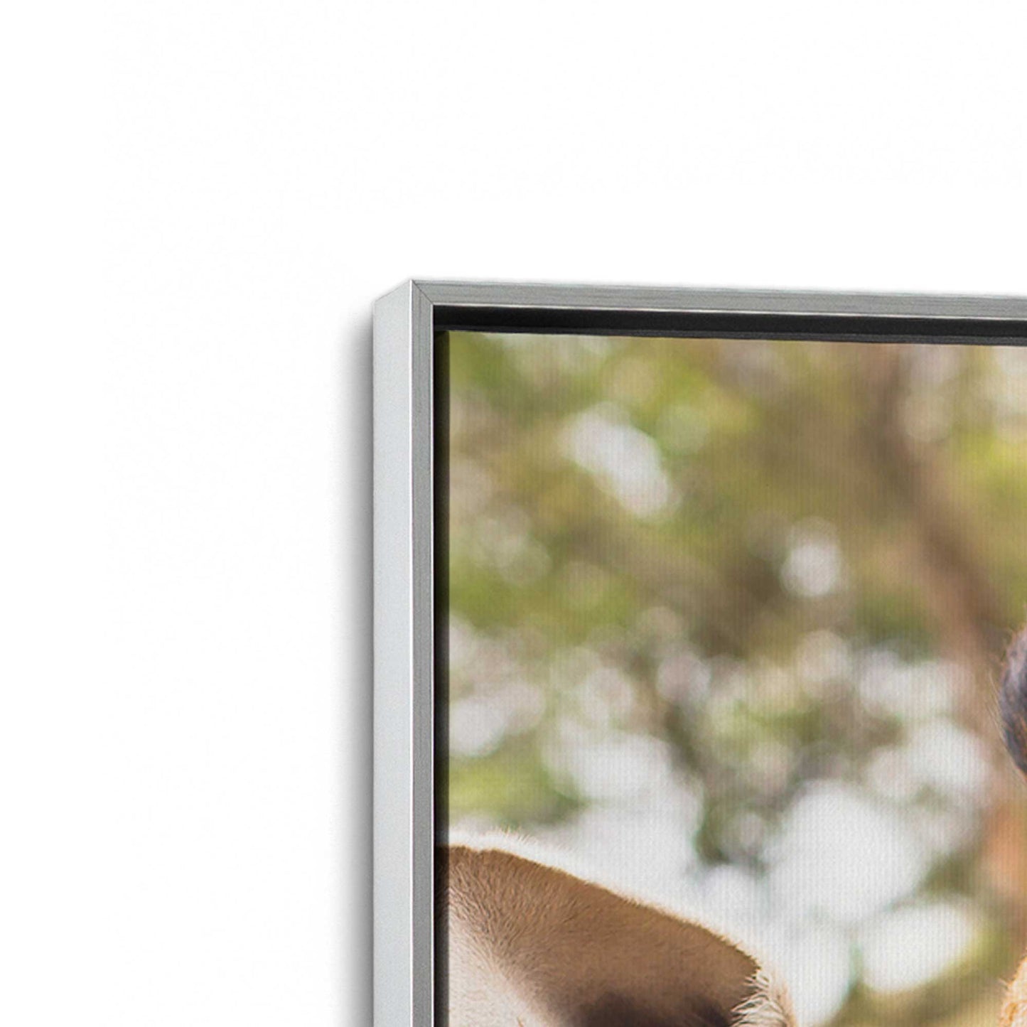 [Color:Polished Chrome], Picture of art in a Polished Chrome frame at an angle