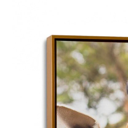 [Color:Polished Gold], Picture of art in a Polished Gold frame at an angle