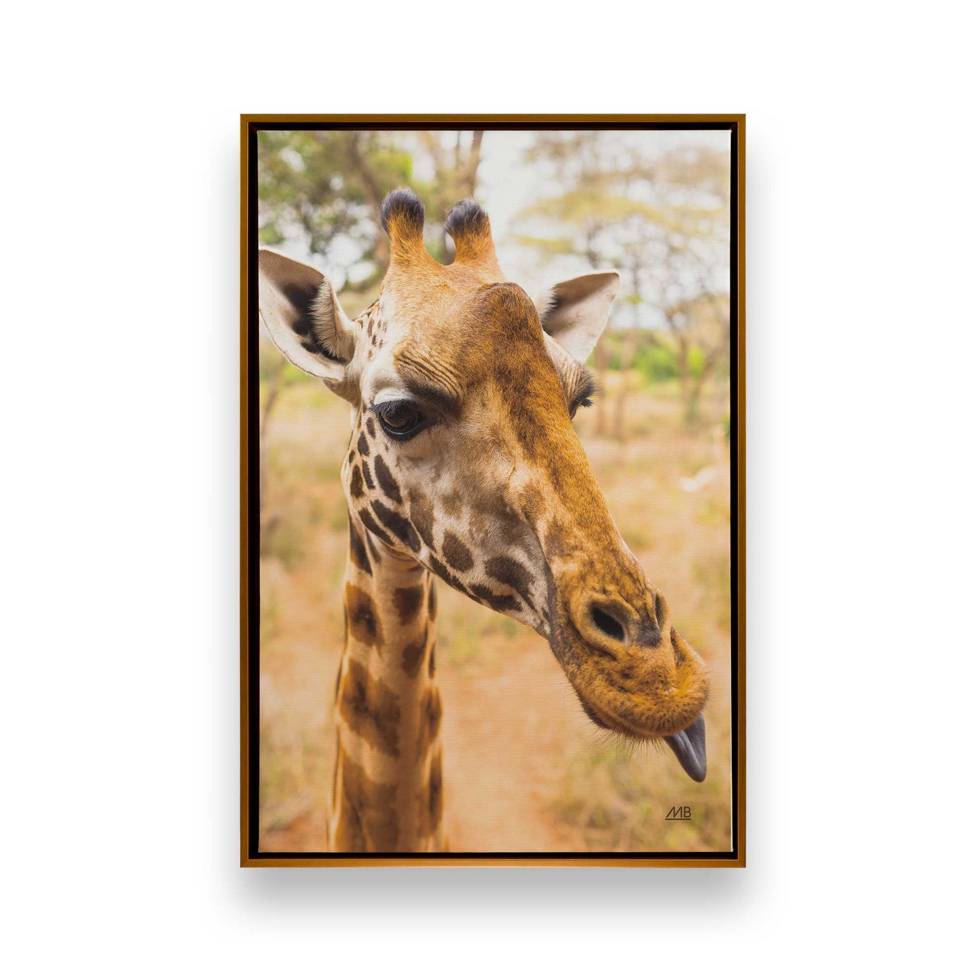 [Color:Polished Gold], Picture of art in a Polished Gold frame