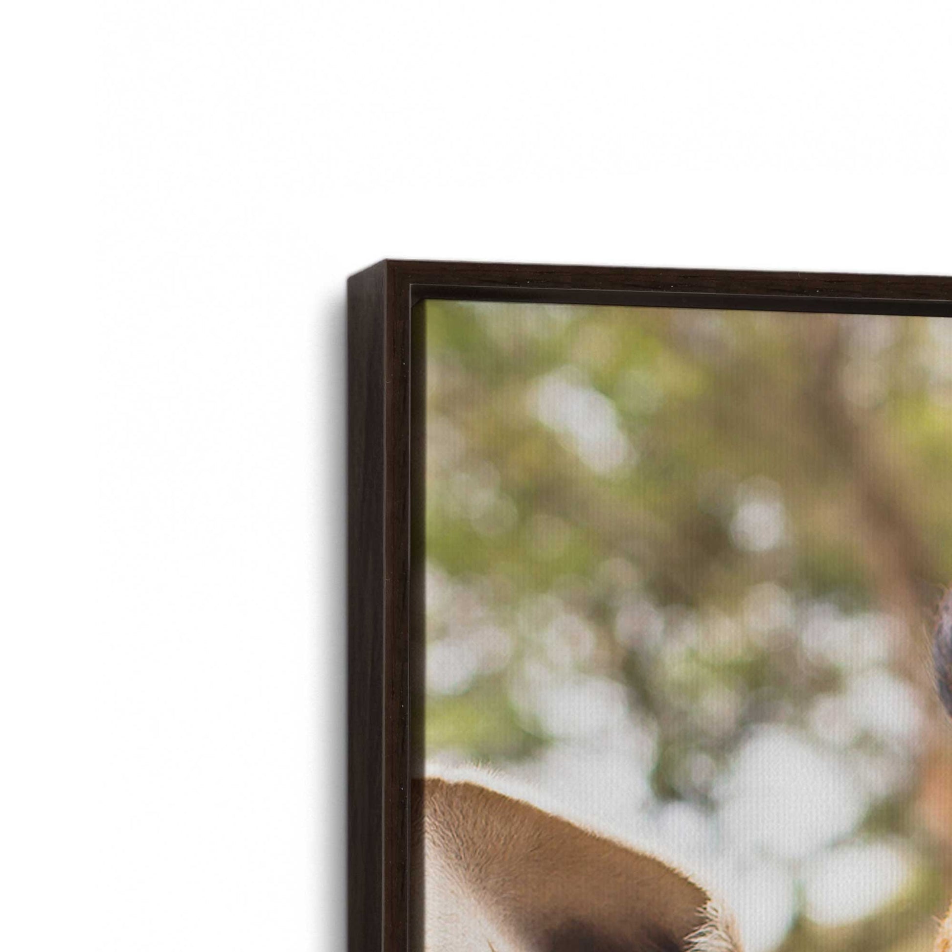 [Color:Espresso], Picture of art in a Espresso frame at an angle