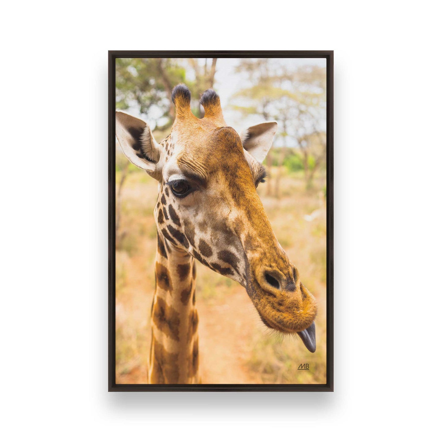 [Color:Espresso], Picture of art in a Espresso frame