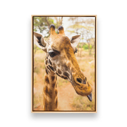 [Color:American Maple], Picture of art in a American Maple frame