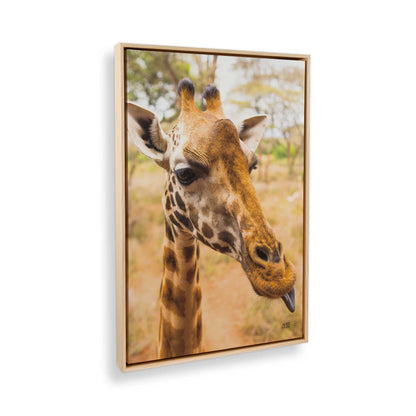 [Color:American Maple], Picture of the corner of the art