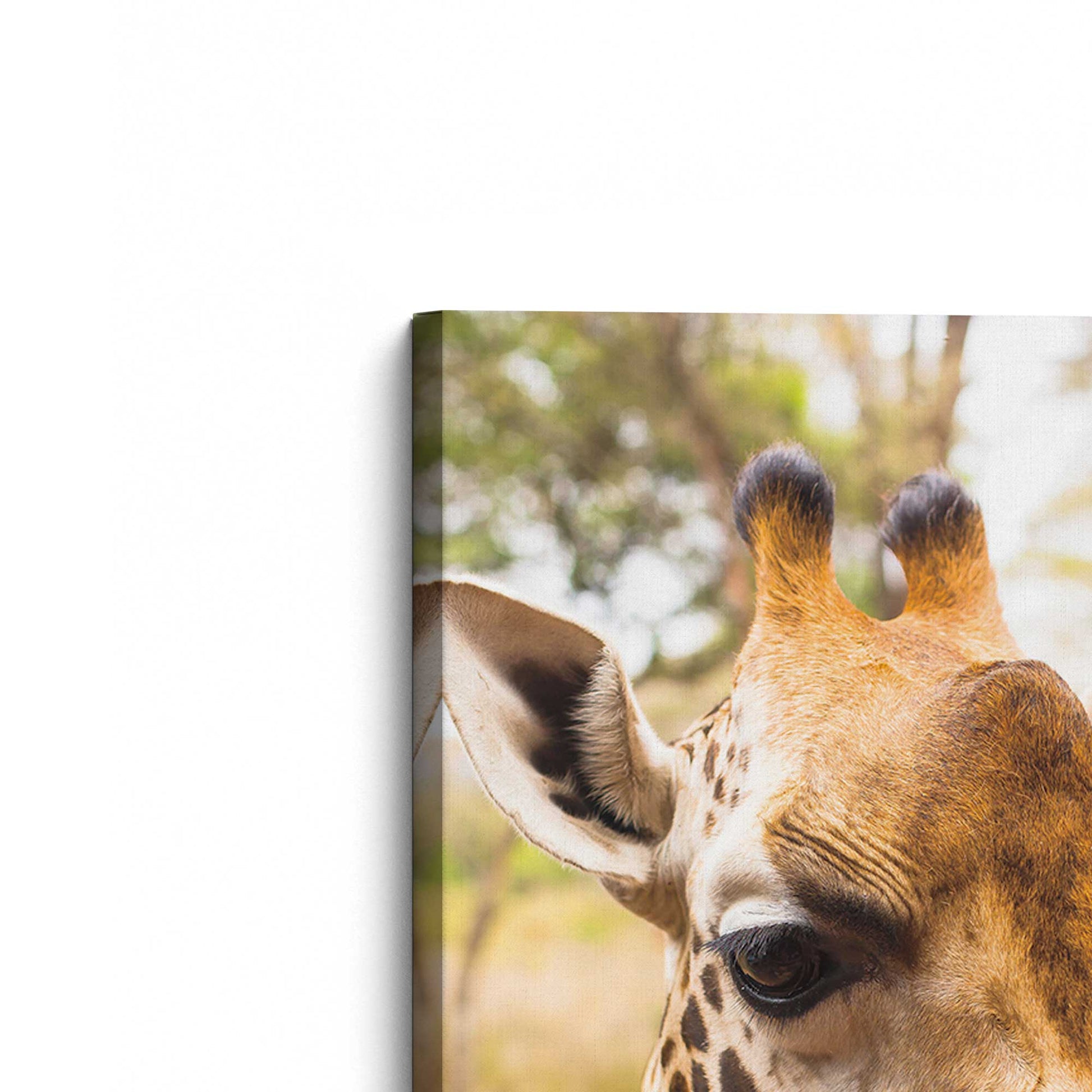 [Color:Stretched Canvas], Picture of the corner of the art