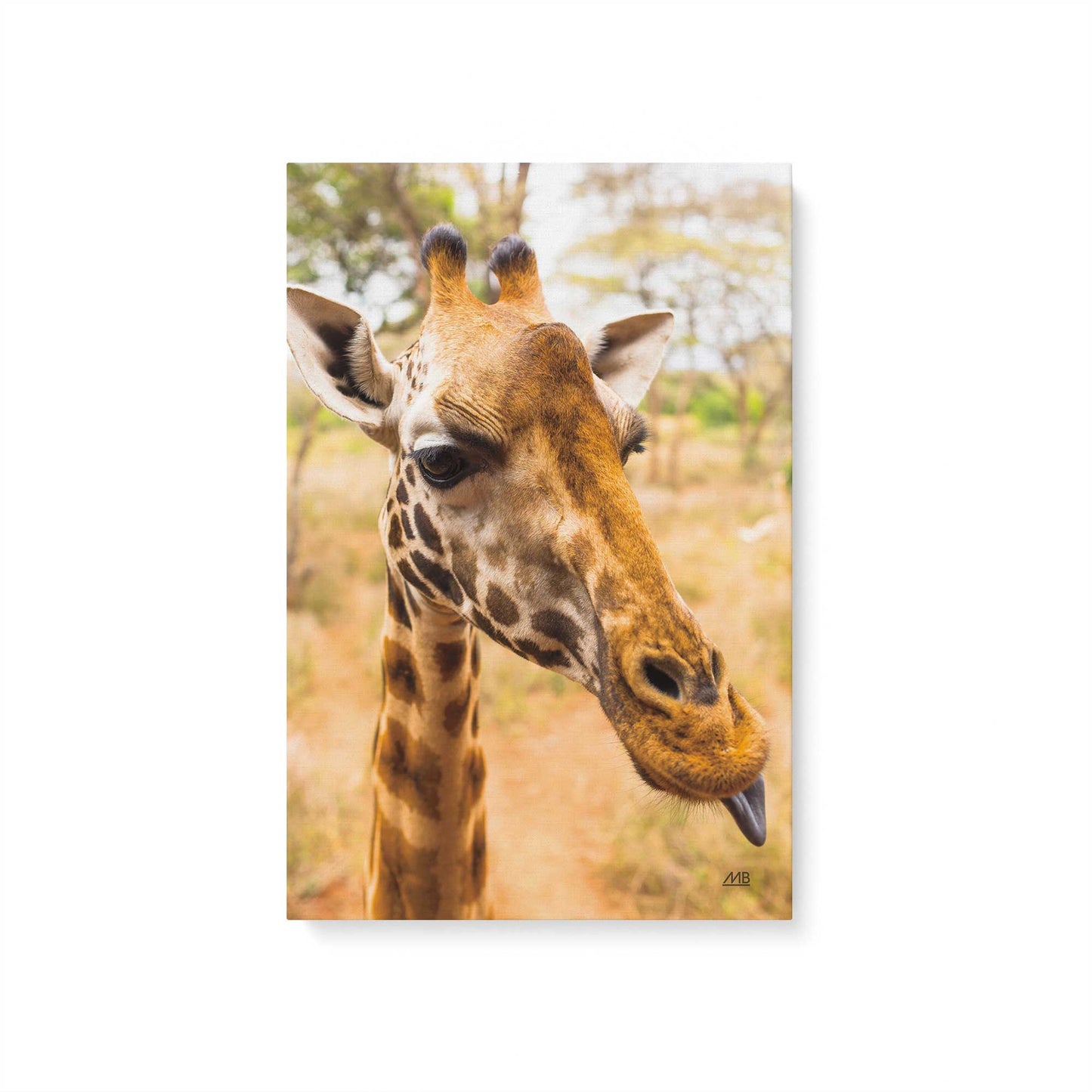 [Color:Stretched Canvas], Picture of art