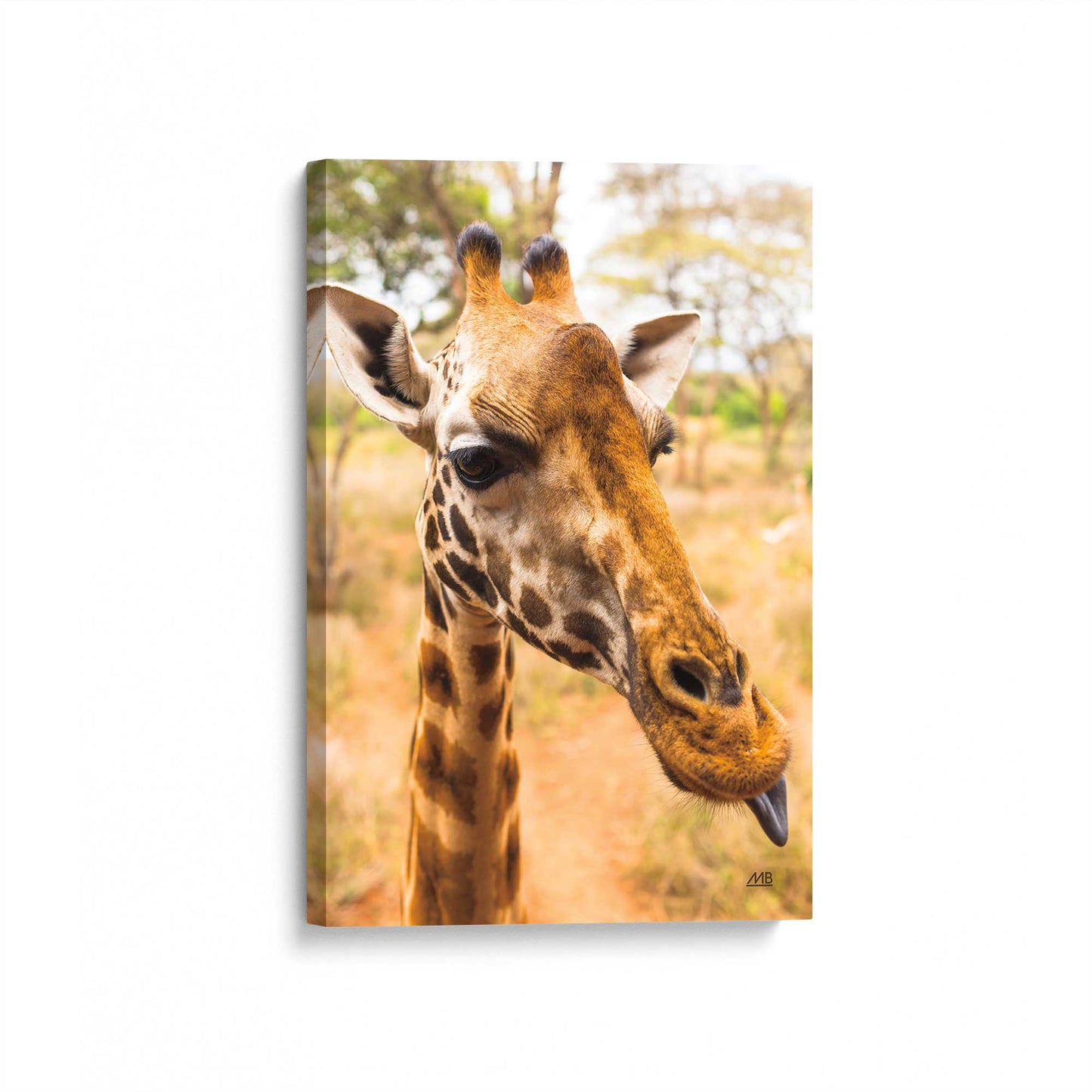 [Color:Stretched Canvas], Picture of art at an angle