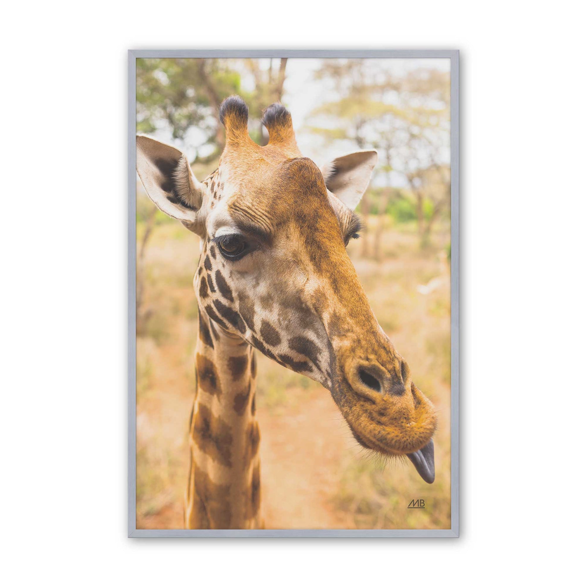 [Color:Polished Chrome], Picture of art in a Polished Chrome frame