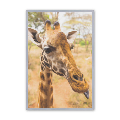 [Color:Polished Chrome], Picture of art in a Polished Chrome frame