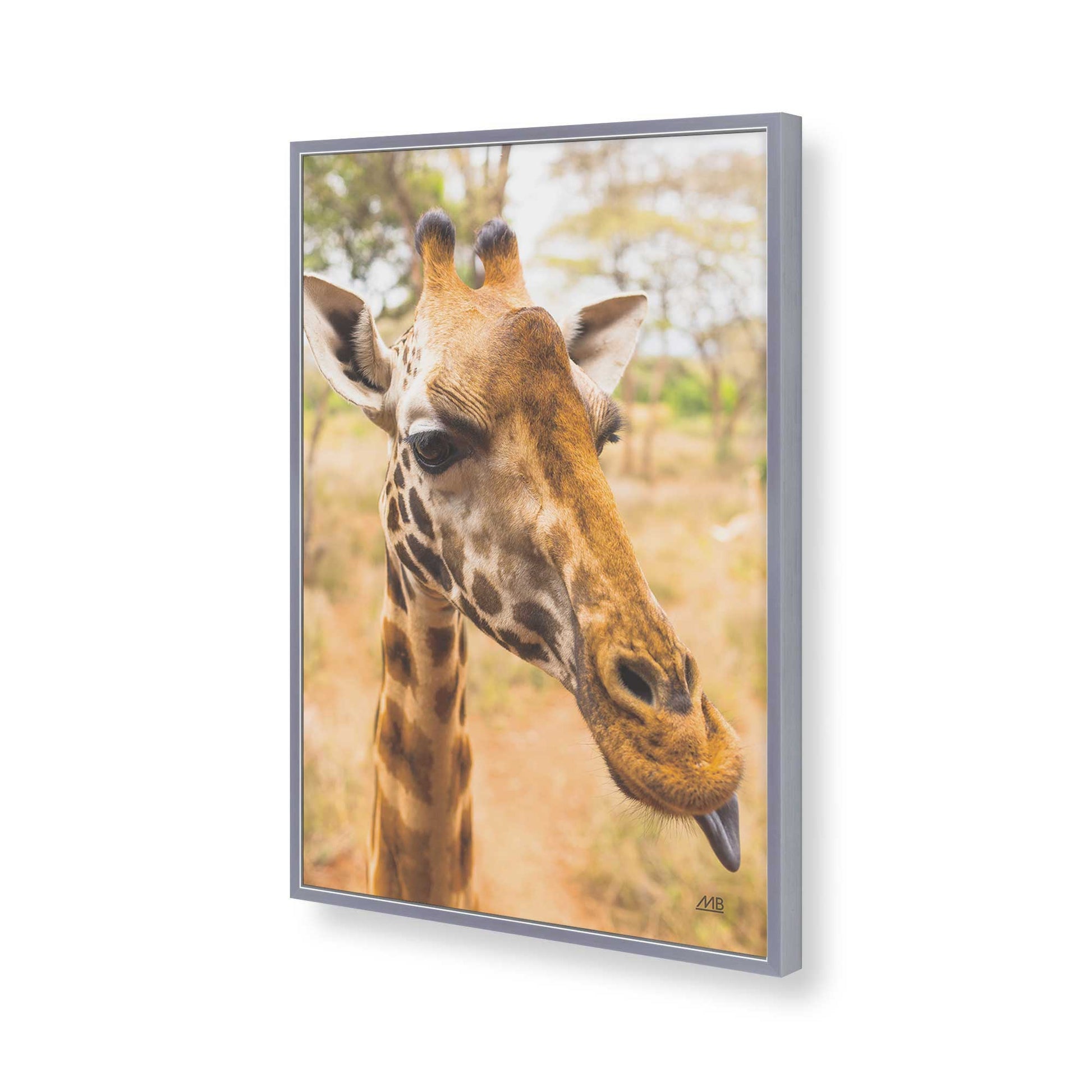 [Color:Polished Chrome], Picture of art in a Polished Chrome frame of the corner