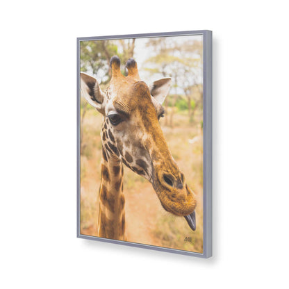 [Color:Polished Chrome], Picture of art in a Polished Chrome frame of the corner