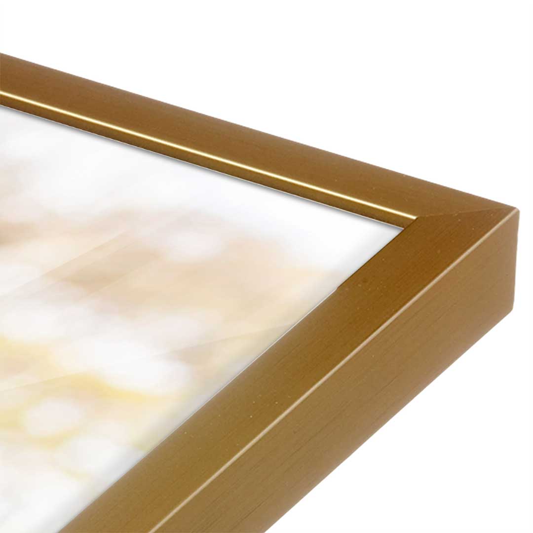 [Color:Polished Gold], Picture of art in a Polished Gold frame at an angle