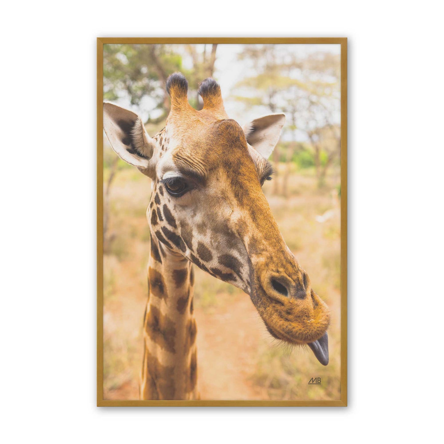 [Color:Polished Gold], Picture of art in a Polished Gold frame