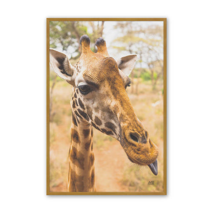 [Color:Polished Gold], Picture of art in a Polished Gold frame