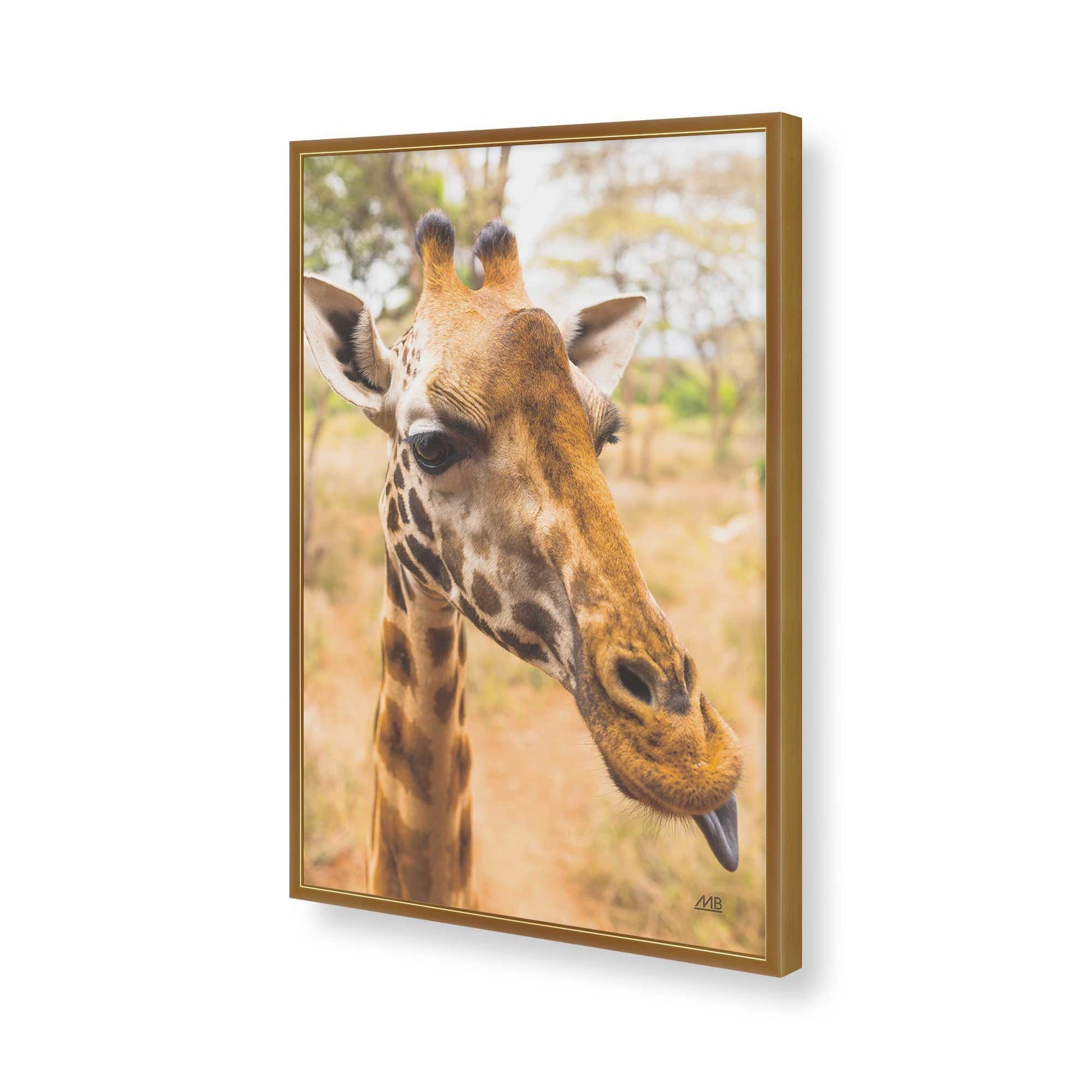 [Color:Polished Gold], Picture of art in a Polished Gold frame of the corner
