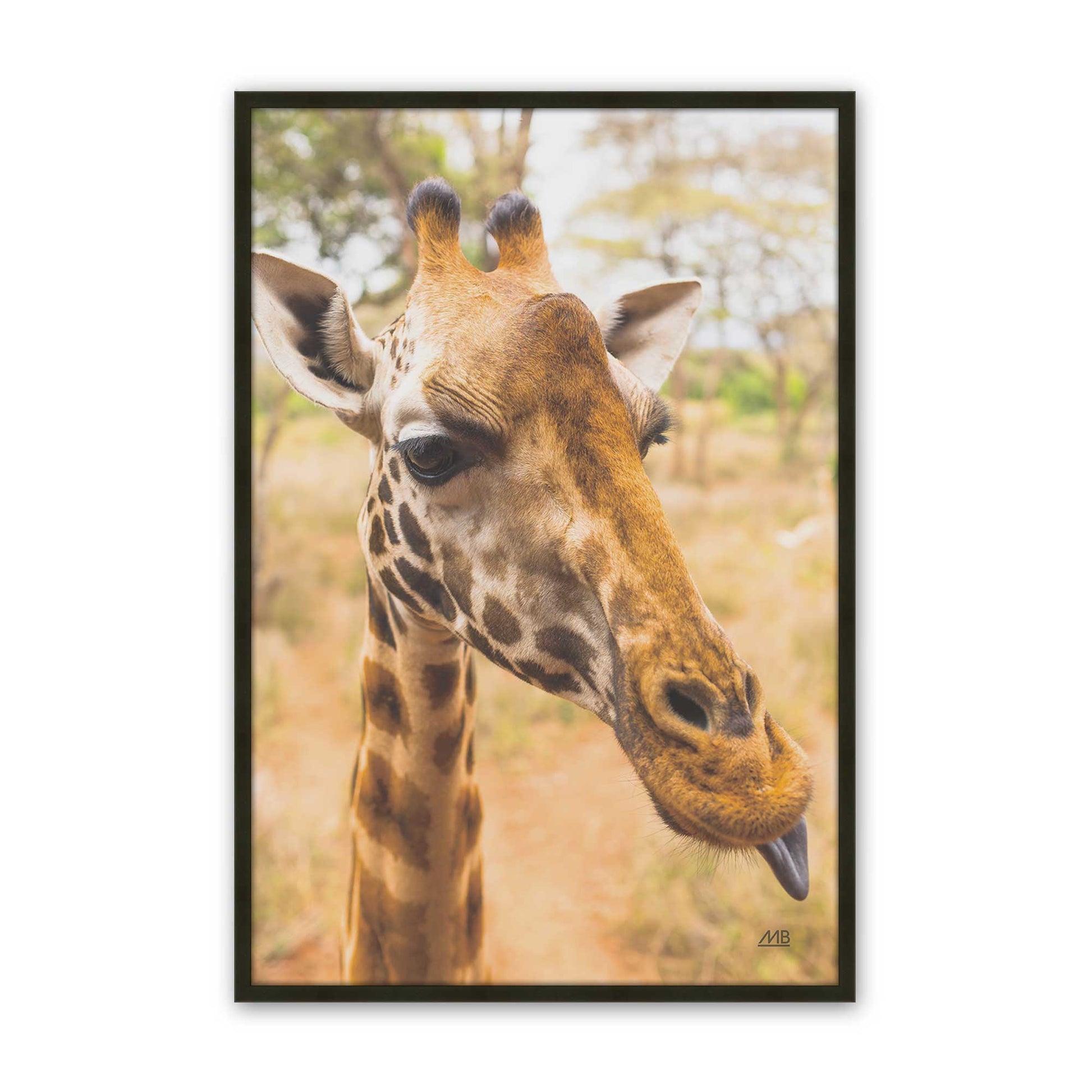 [Color:Satin Black], Picture of art in a Satin Black frame