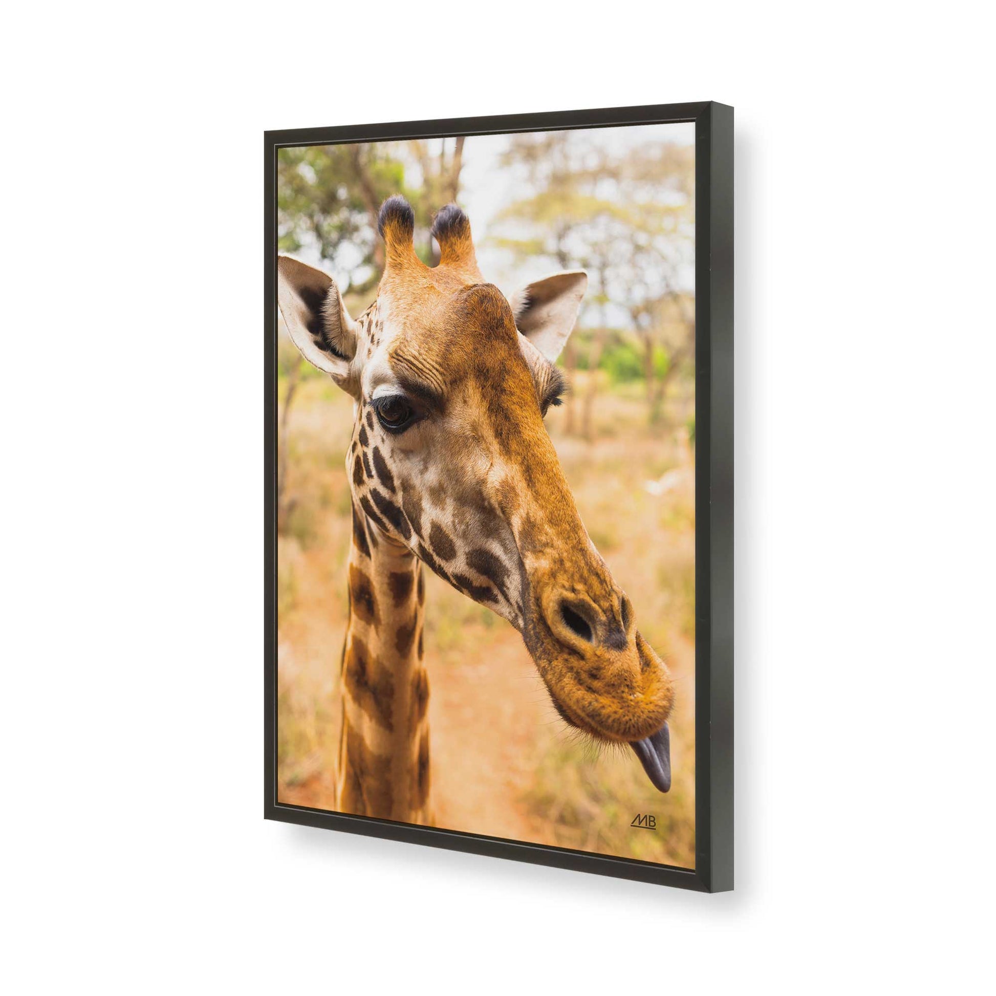 [Color:Satin Black], Picture of art in a Satin Black frame of the corner