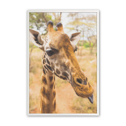 [Color:Opaque White], Picture of art in a Opaque White frame