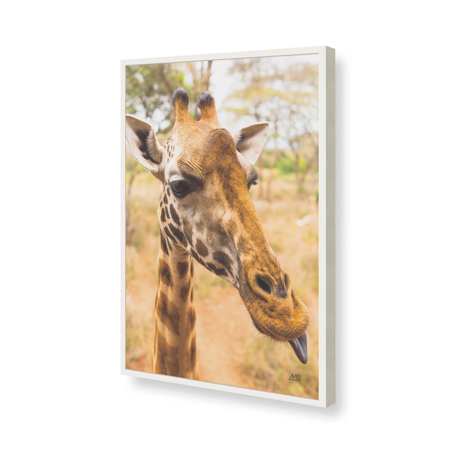 [Color:Opaque White], Picture of art in a Opaque White frame of the corner