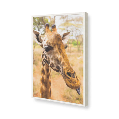[Color:Opaque White], Picture of art in a Opaque White frame of the corner