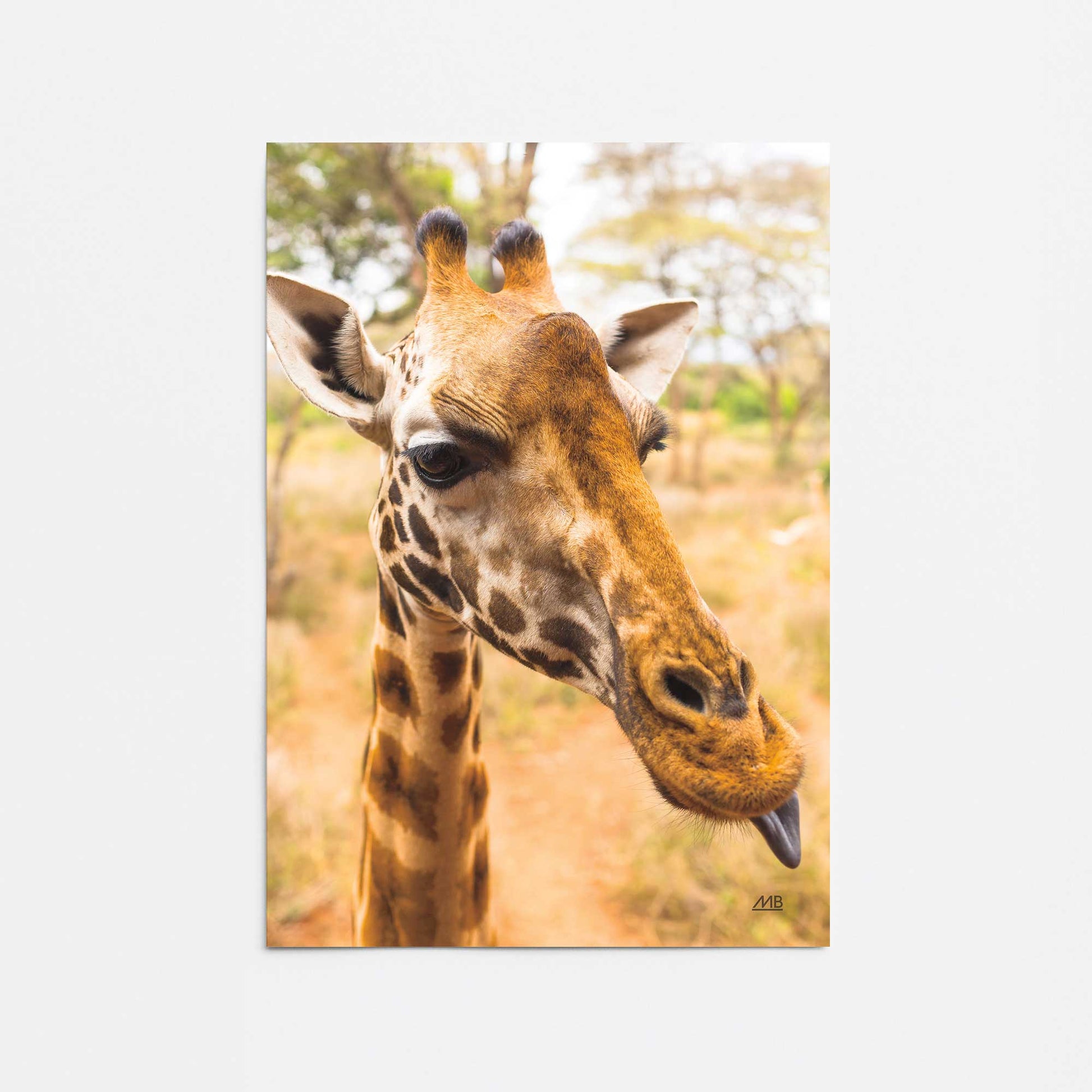 [Color:Rolled Print], Picture of close up of art