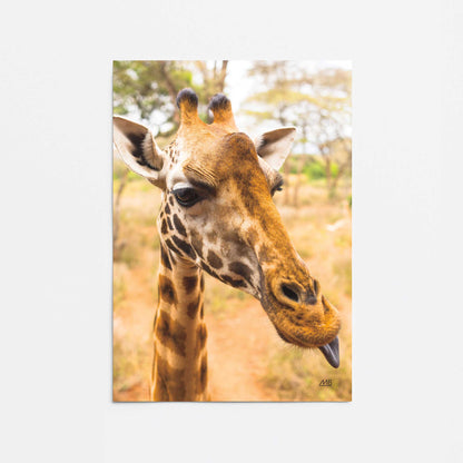 [Color:Rolled Print], Picture of close up of art
