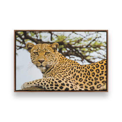 [Color:Walnut], Picture of art in a Walnut frame