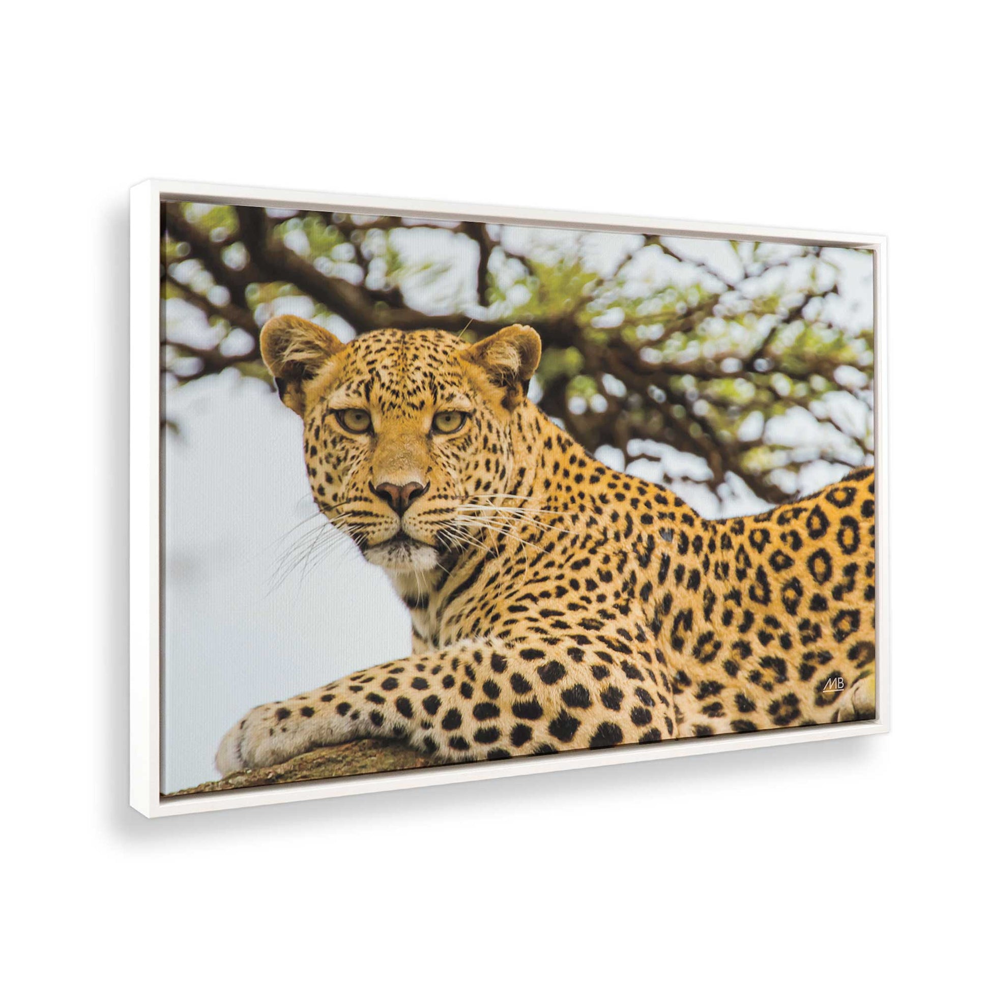 [Color:Opaque White], Picture of the corner of the art