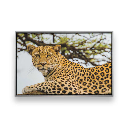 [Color:Polished Chrome], Picture of art in a Polished Chrome frame