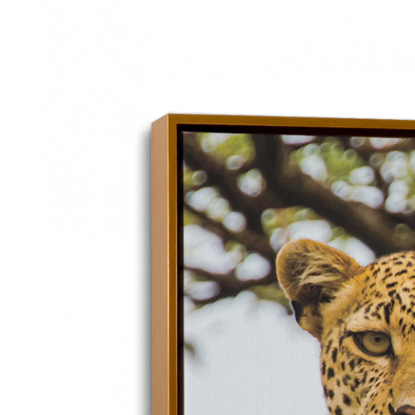 [Color:Polished Gold], Picture of art in a Polished Gold frame at an angle