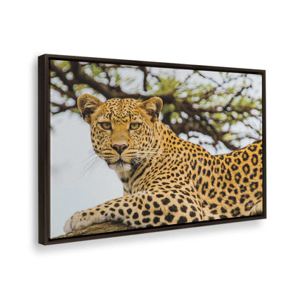 [Color:Espresso], Picture of the corner of the art