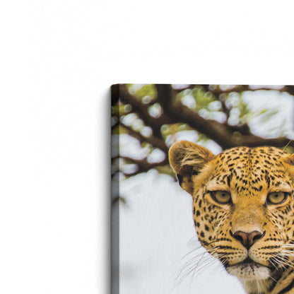 [Color:Stretched Canvas], Picture of the corner of the art