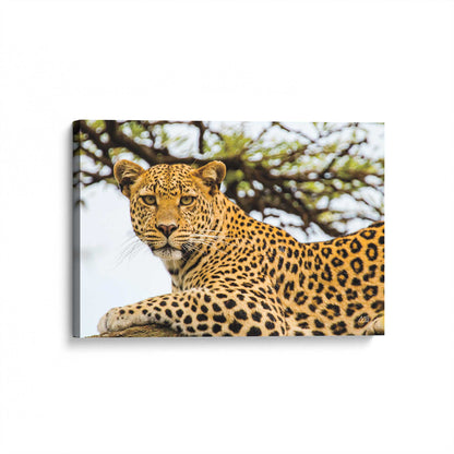 [Color:Stretched Canvas], Picture of art at an angle