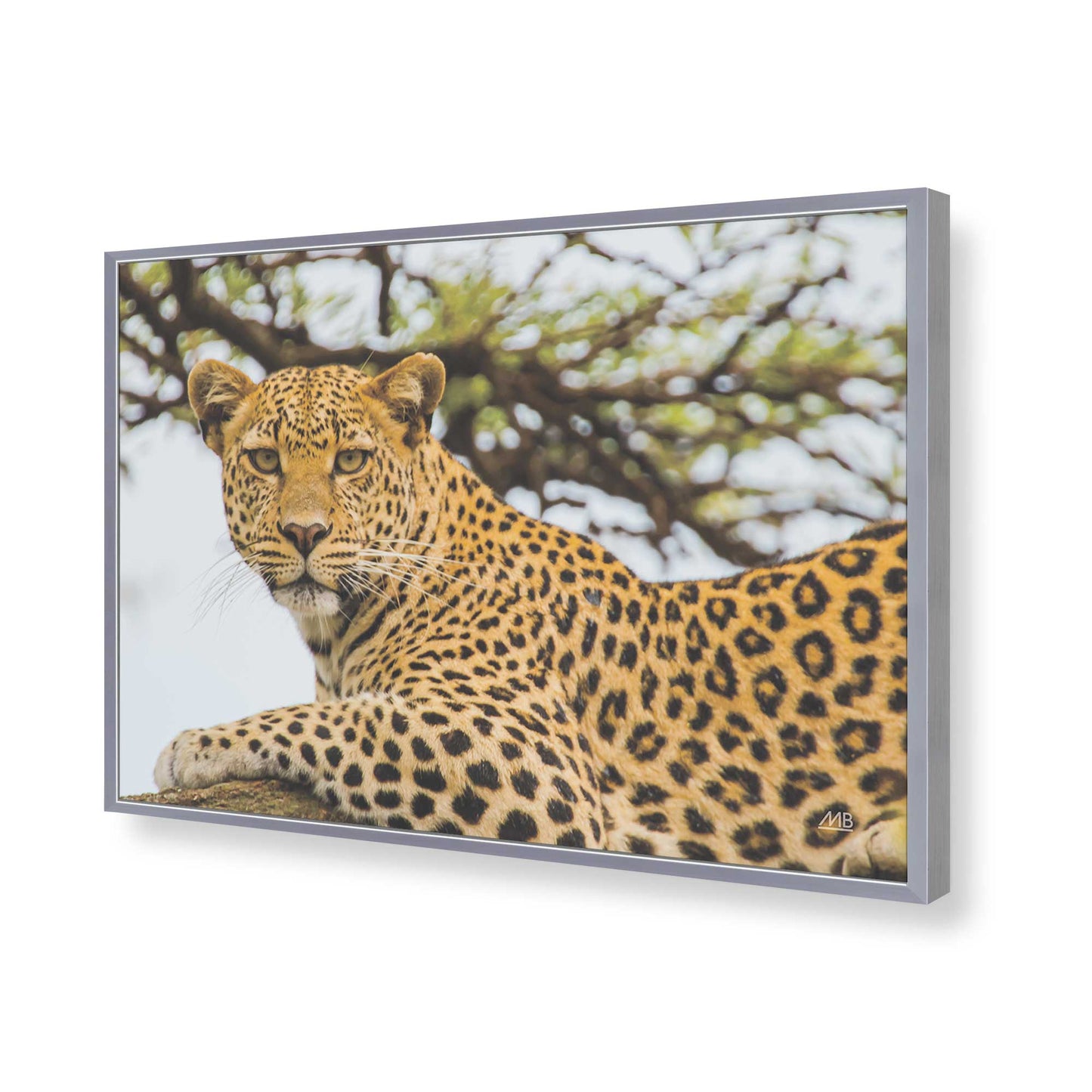 [Color:Polished Chrome], Picture of art in a Polished Chrome frame of the corner