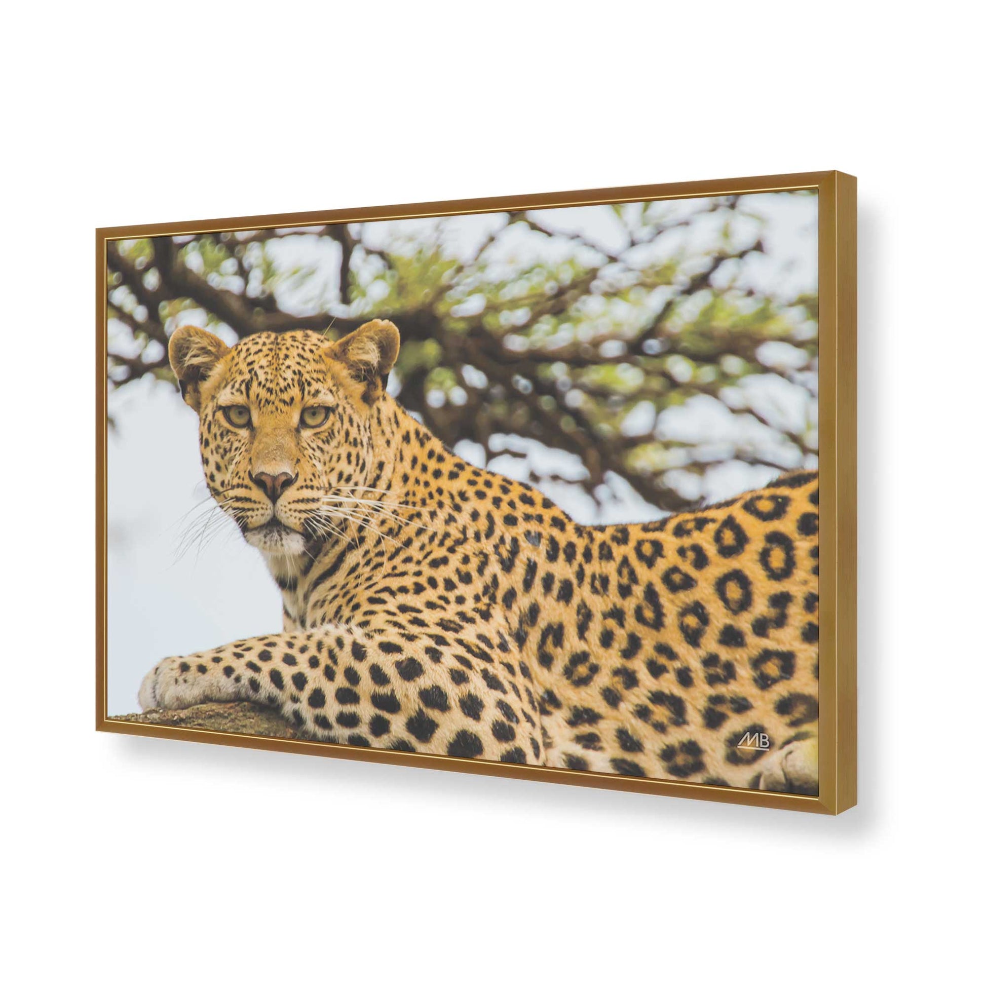 [Color:Polished Gold], Picture of art in a Polished Gold frame of the corner