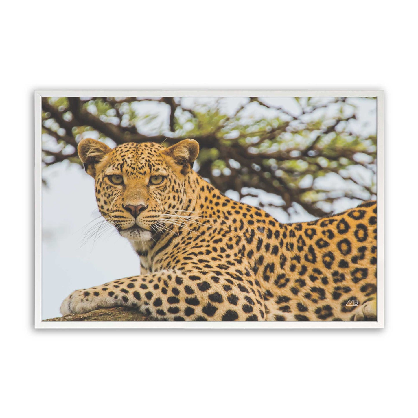 [Color:Opaque White], Picture of art in a Opaque White frame