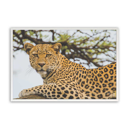 [Color:Opaque White], Picture of art in a Opaque White frame