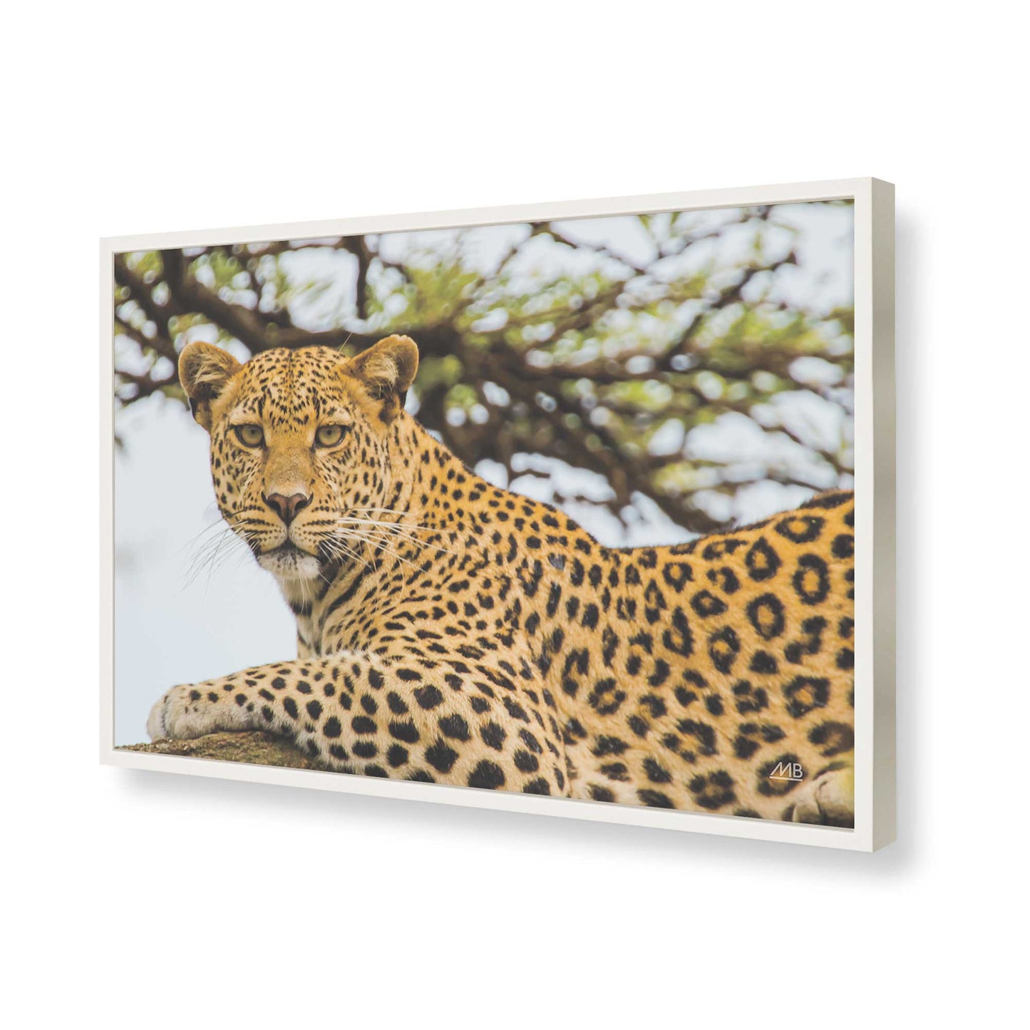 [Color:Opaque White], Picture of art in a Opaque White frame of the corner