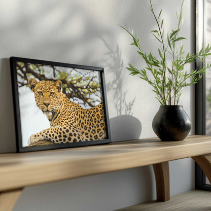 Picture of art in a room