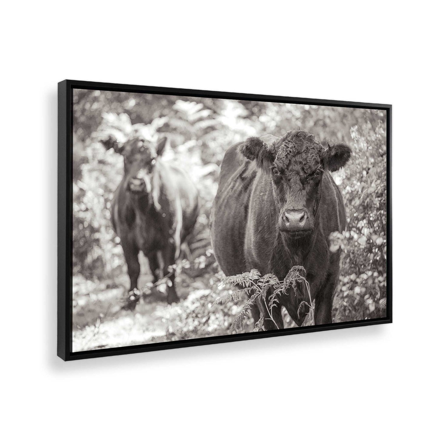 [Color:Satin Black], Picture of the corner of the art