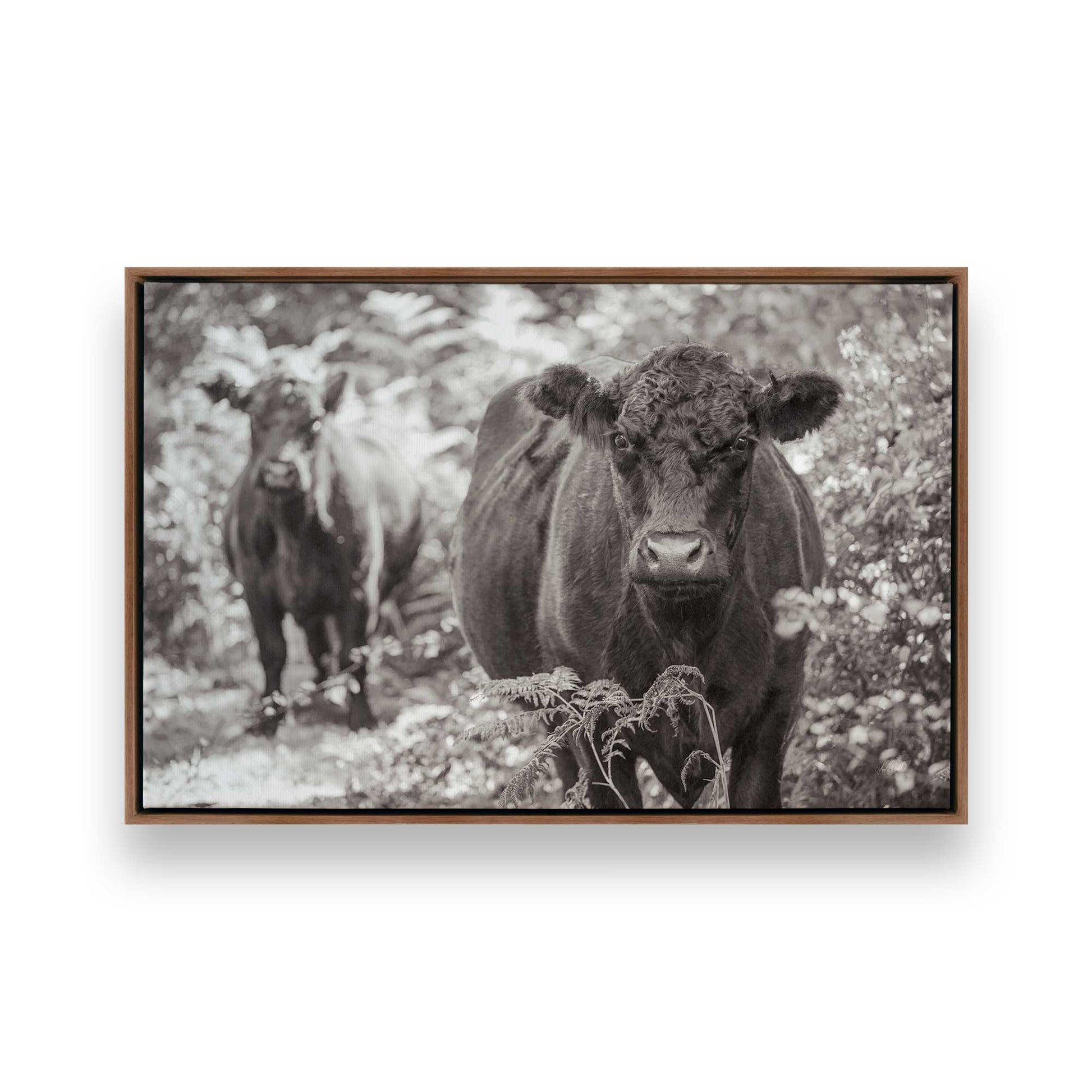 [Color:Walnut], Picture of art in a Walnut frame