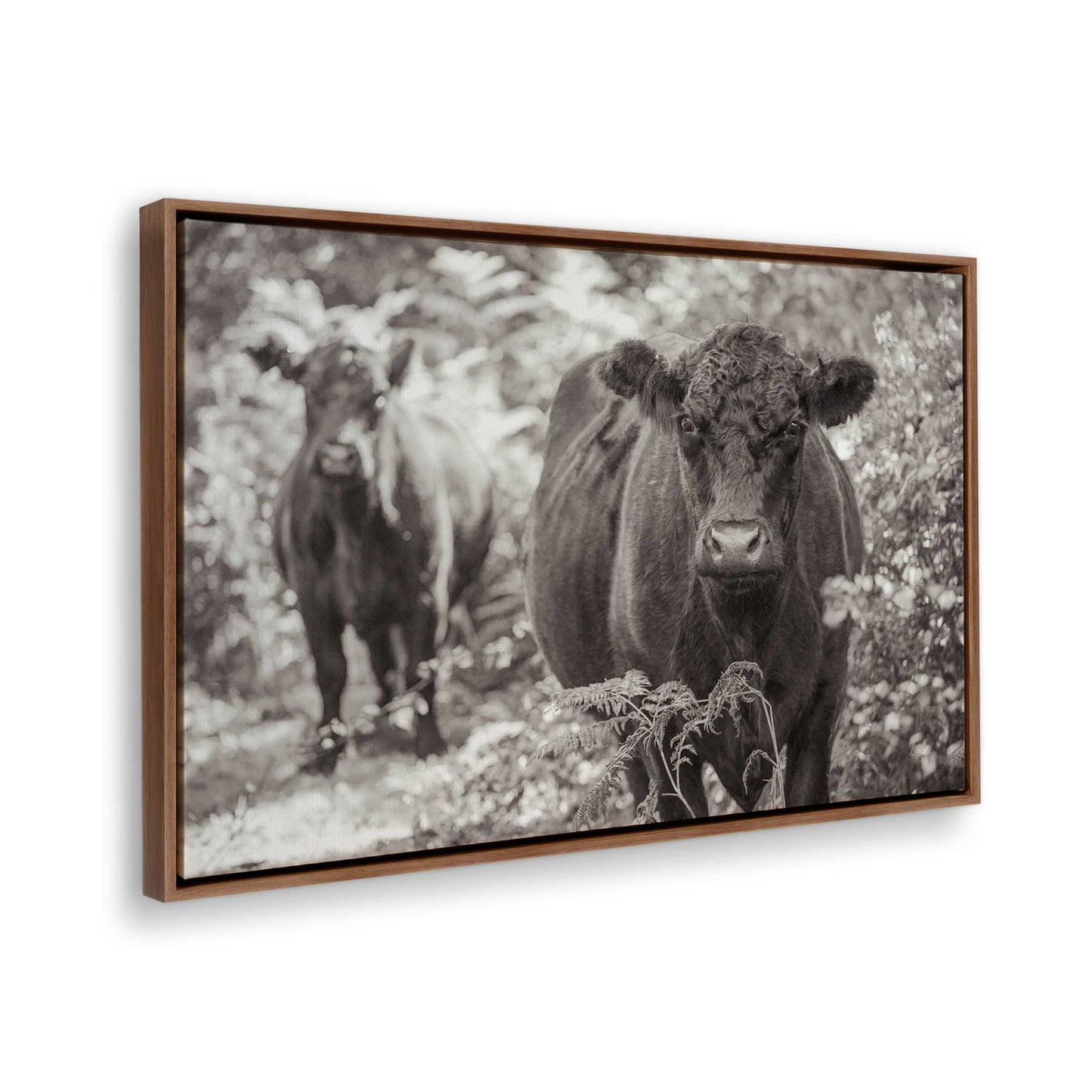 [Color:Walnut], Picture of the corner of the art