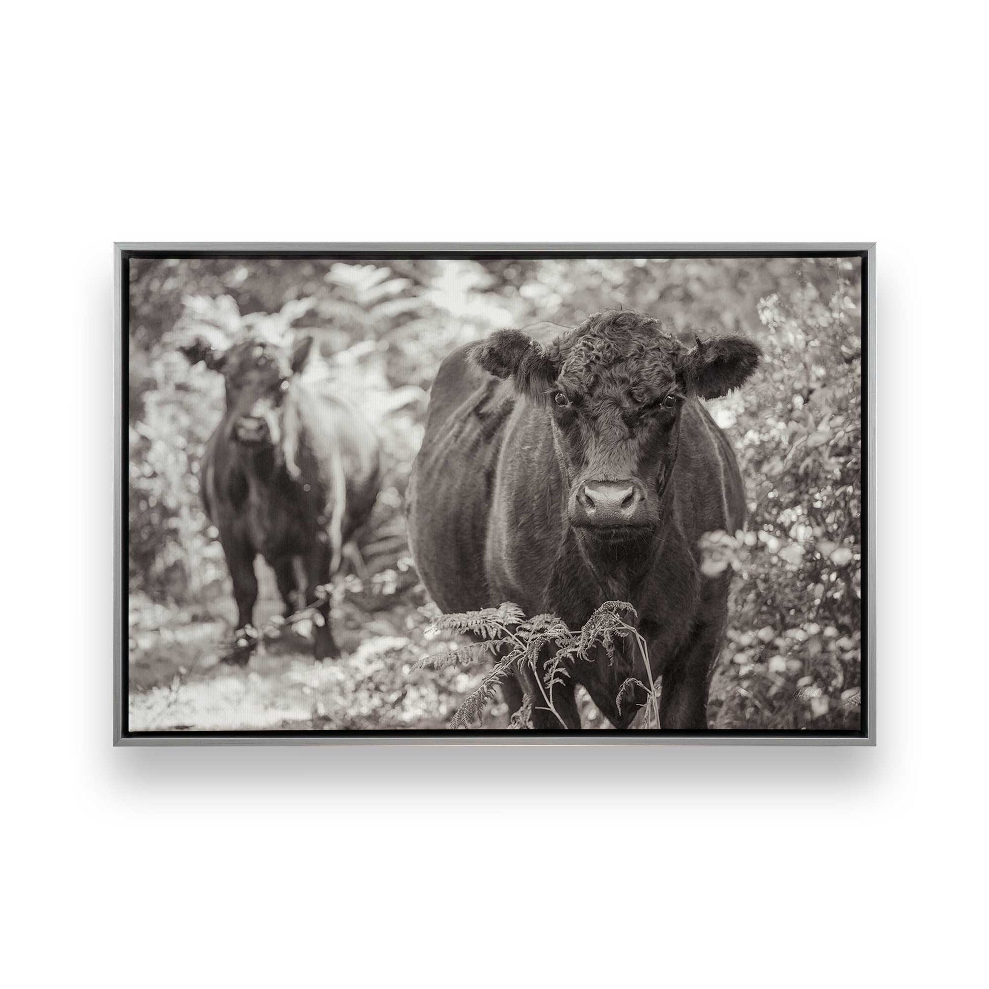 [Color:Polished Chrome], Picture of art in a Polished Chrome frame