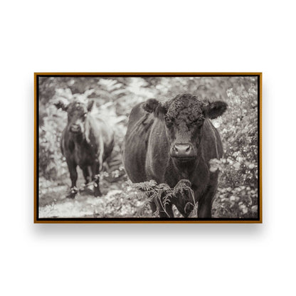 [Color:Polished Gold], Picture of art in a Polished Gold frame