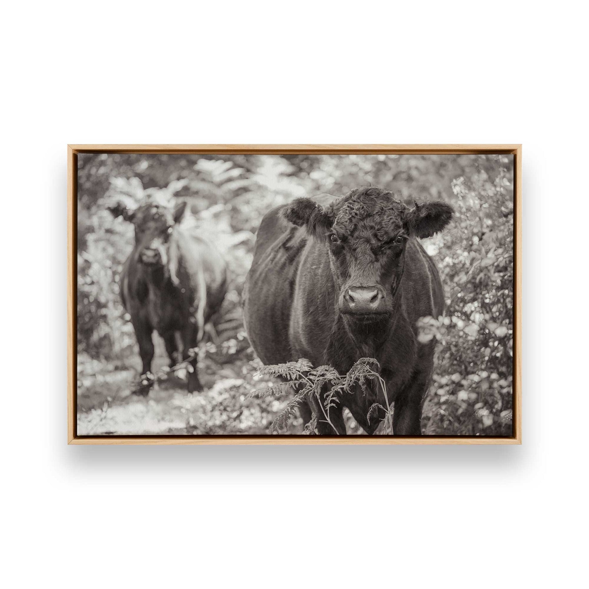 [Color:American Maple], Picture of art in a American Maple frame