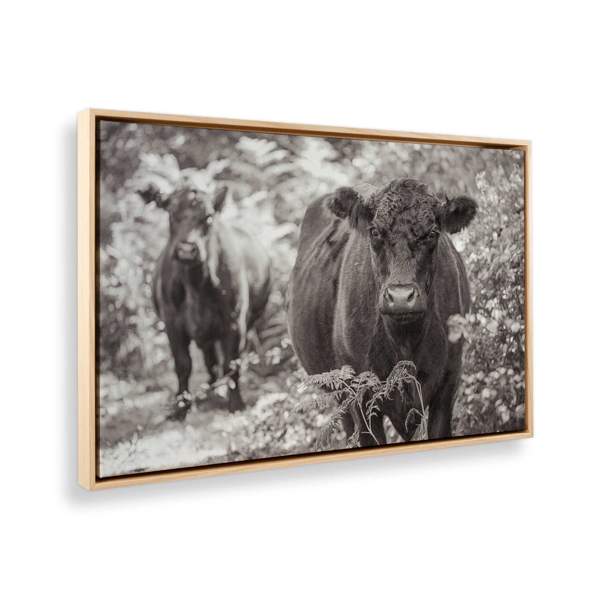 [Color:American Maple], Picture of the corner of the art