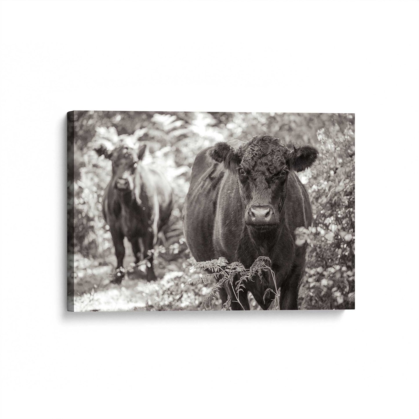 [Color:Stretched Canvas], Picture of art at an angle