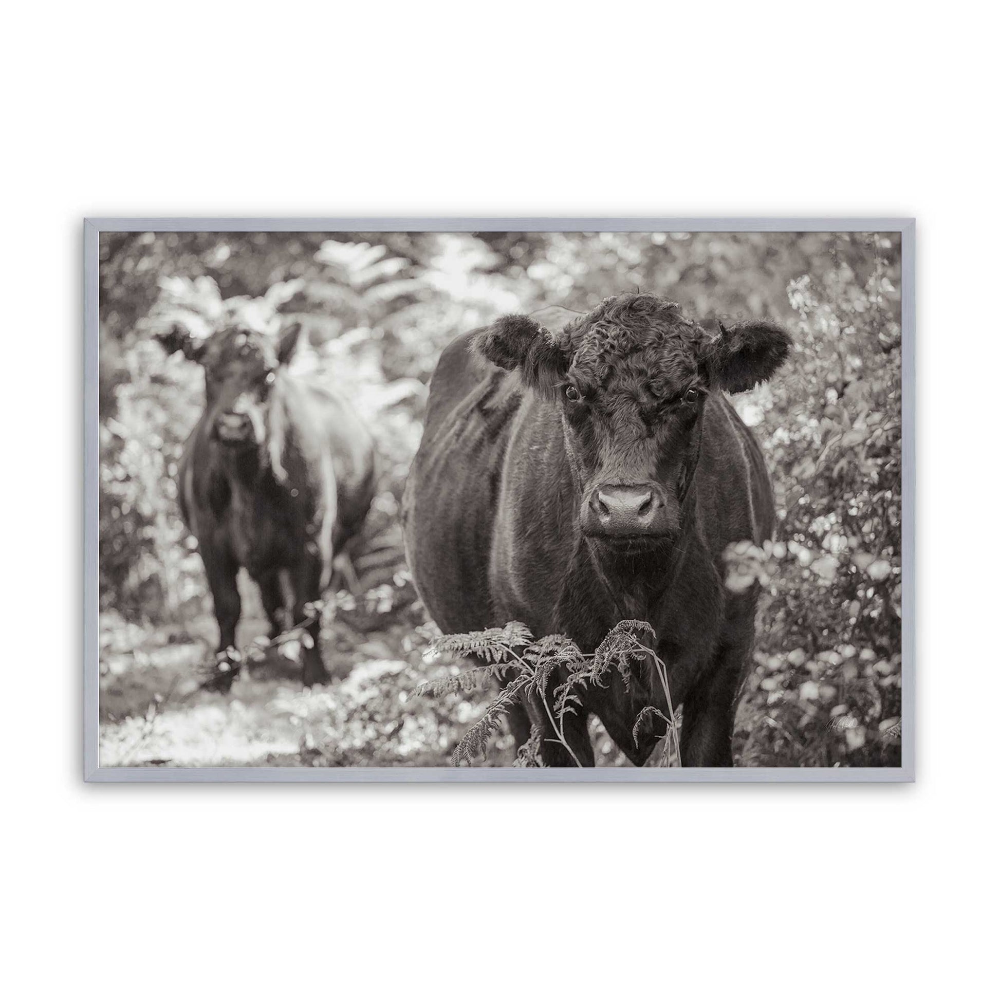 [Color:Polished Chrome], Picture of art in a Polished Chrome frame
