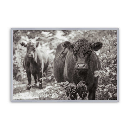 [Color:Polished Chrome], Picture of art in a Polished Chrome frame