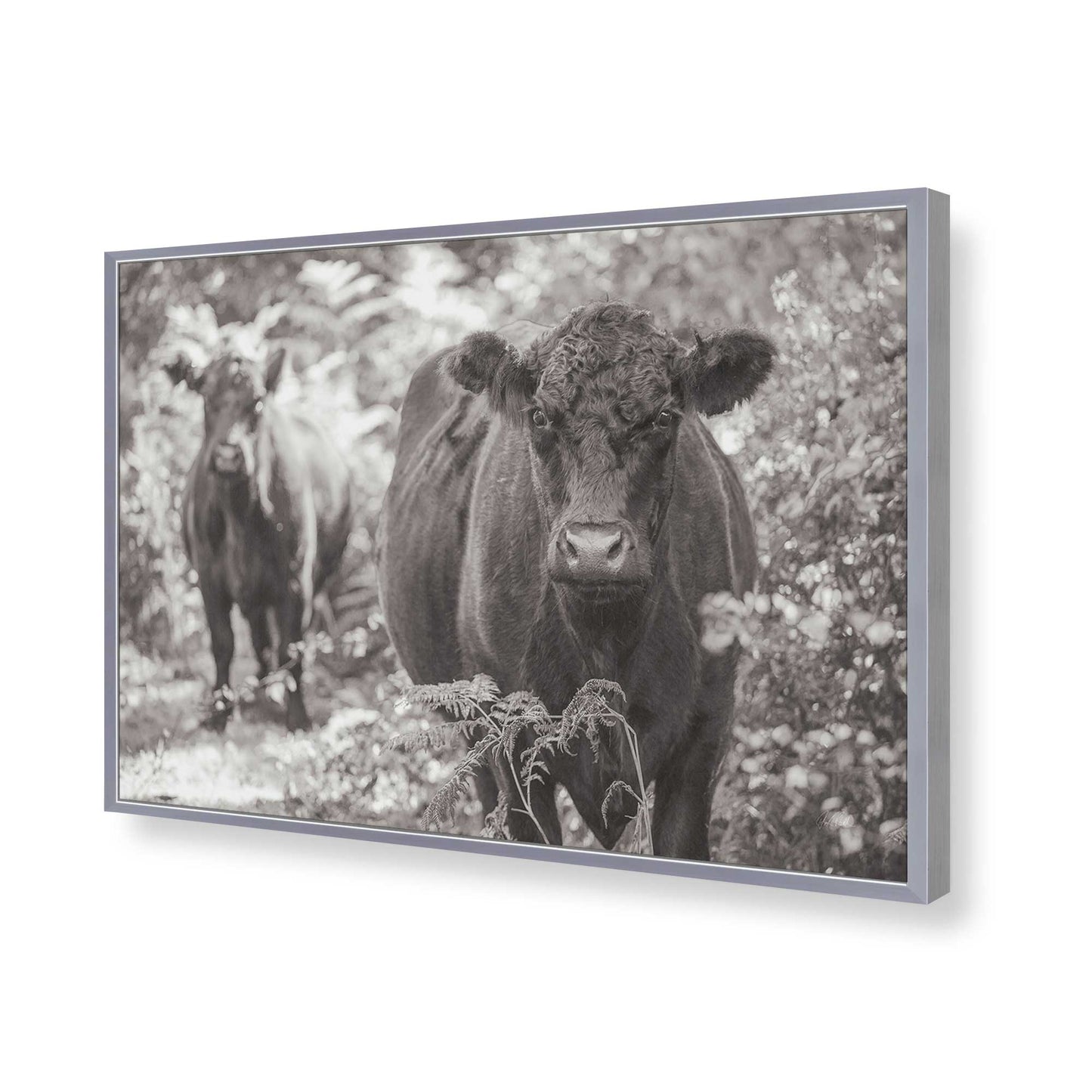 [Color:Polished Chrome], Picture of art in a Polished Chrome frame of the corner