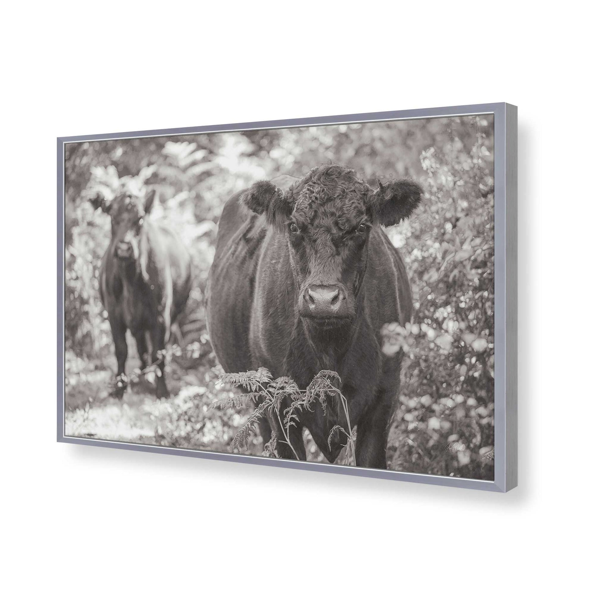 [Color:Polished Chrome], Picture of art in a Polished Chrome frame of the corner